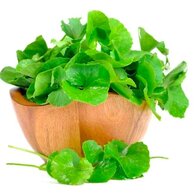 3 cách làm đẹp với rau má dưỡng da, chữa mụn, làm mờ vết thâm hiệu quả