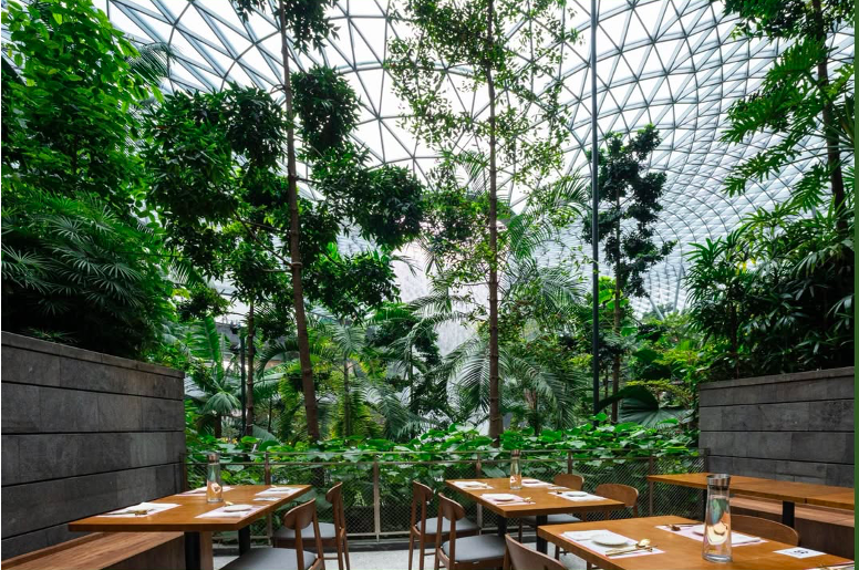 Từ Singapore đến thế giới: Hành trình Gwangjang GAON lan tỏa hương vị Hàn Quốc nguyên bản